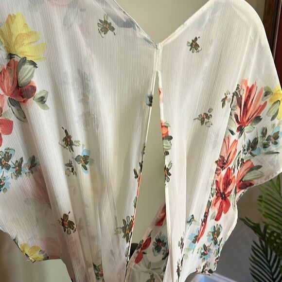 ZARA Sheer Dress or Coverup - Picture 9 of 10